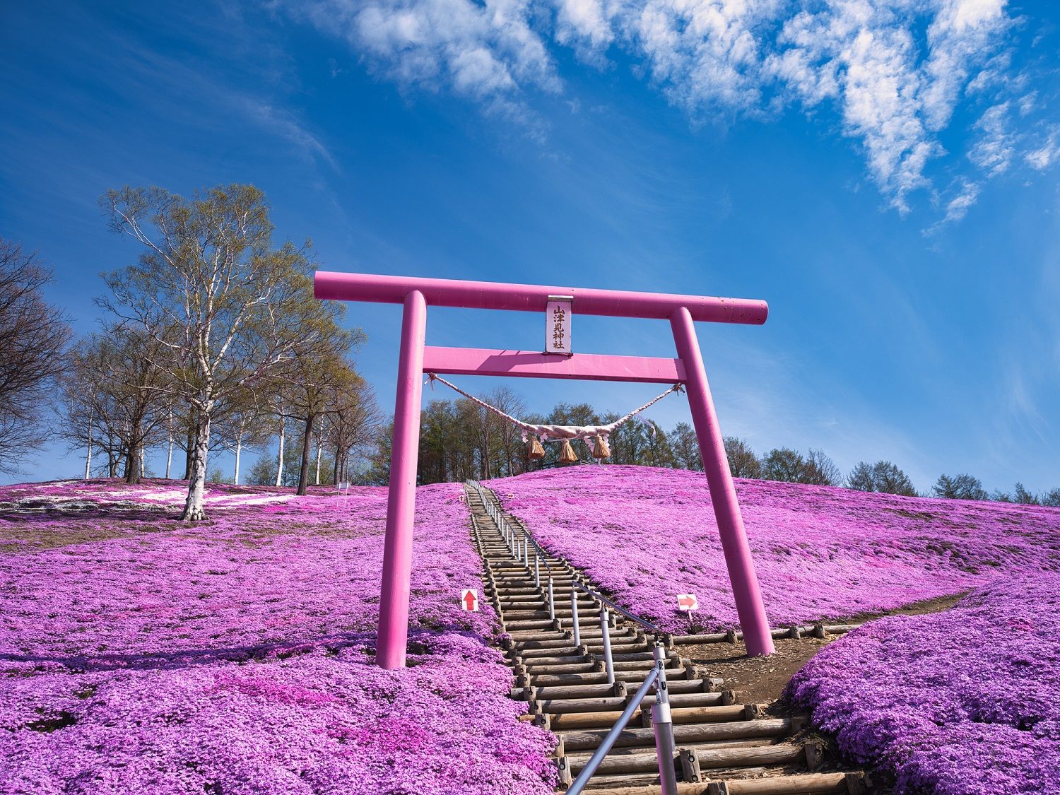 フォトジェニックな山津見神社のピンクの鳥居