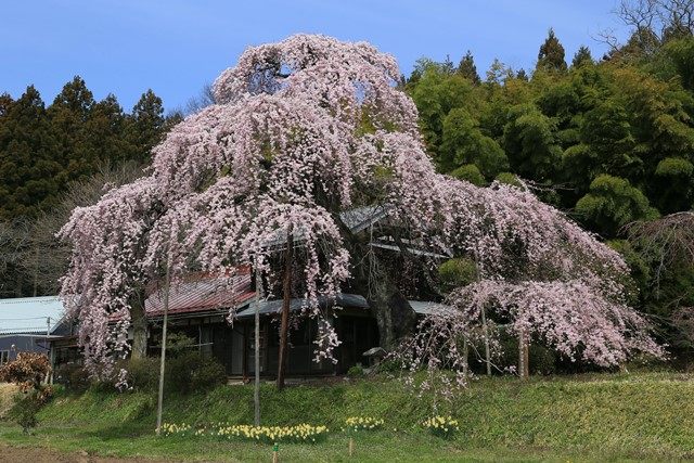 最も人気のある角度がこの辺でしょうか。