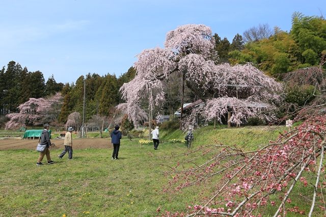 現在は、南東側の敷地へも立ち入ることが可能となりました。