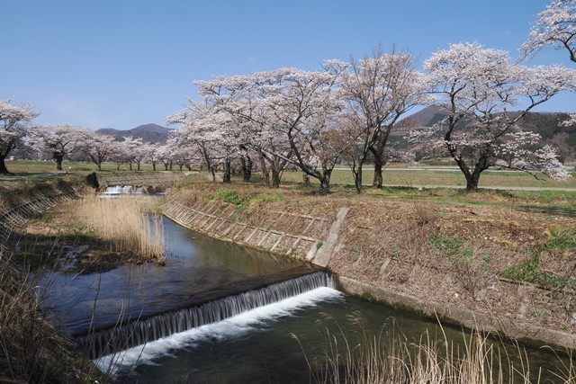 穏やかな笹原川は、高旗山の山麓に源を持つ流れです。