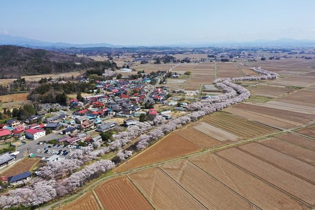 郡山市街地方向