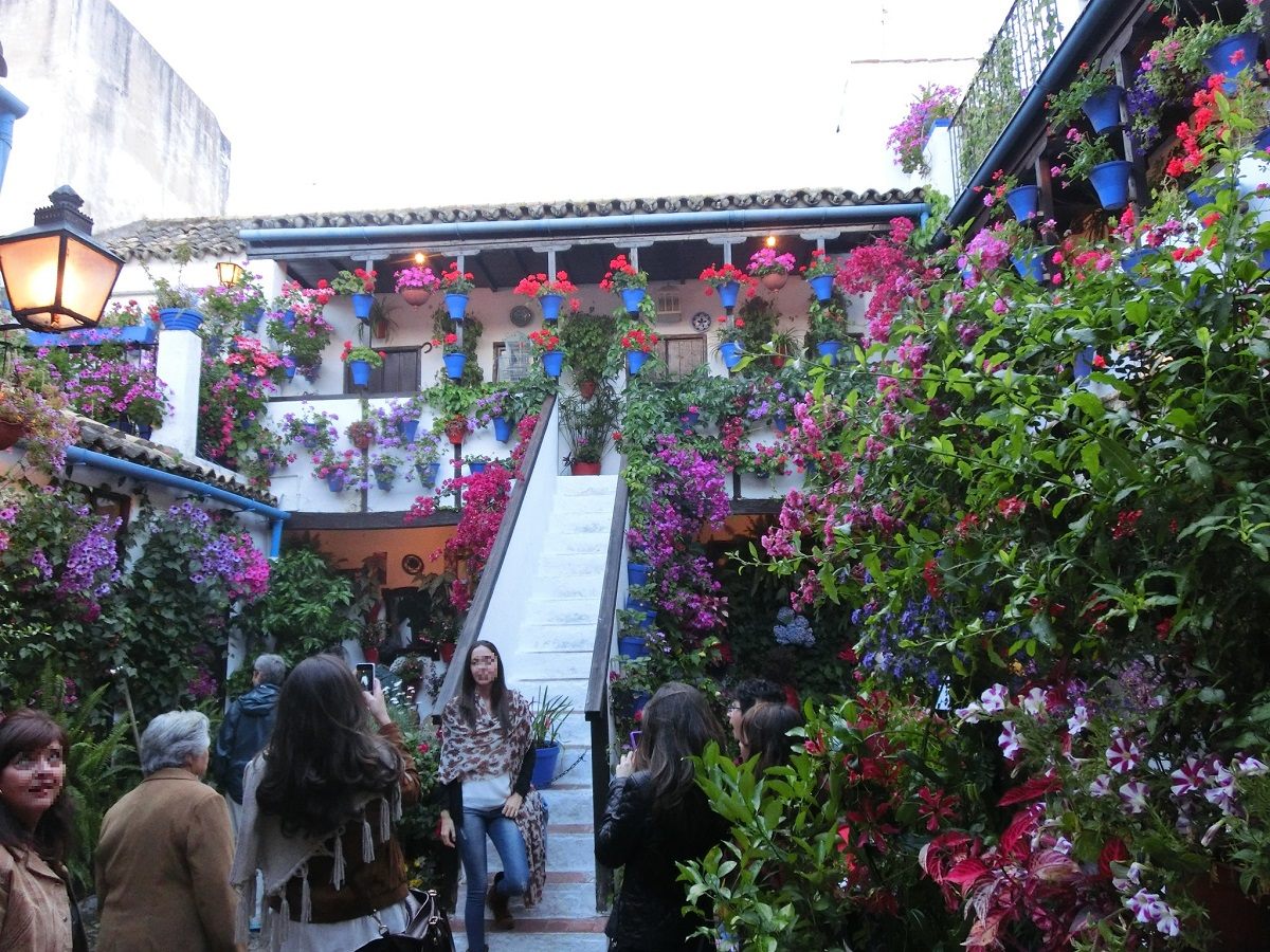 年中開放されているサン・バシリオ（San Basilio）通りのパティオ