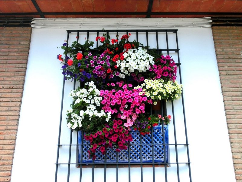 花で飾られた昔ながらの家の鉄格子窓