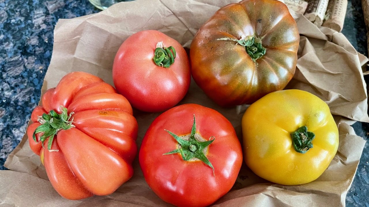 全５種類のトマト