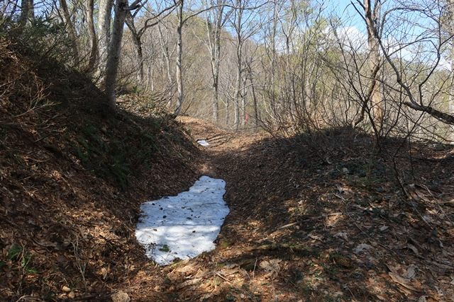 一部に雪渓も見られます。