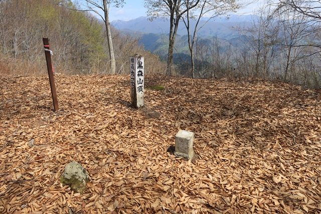 黒森山の頂へ。