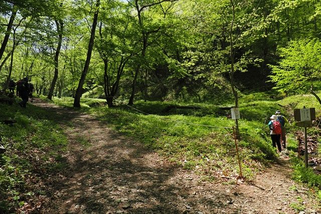 （出会いの沢の通常コースと沢コースとの分岐）
今回は沢コースを中心に歩いてみます。