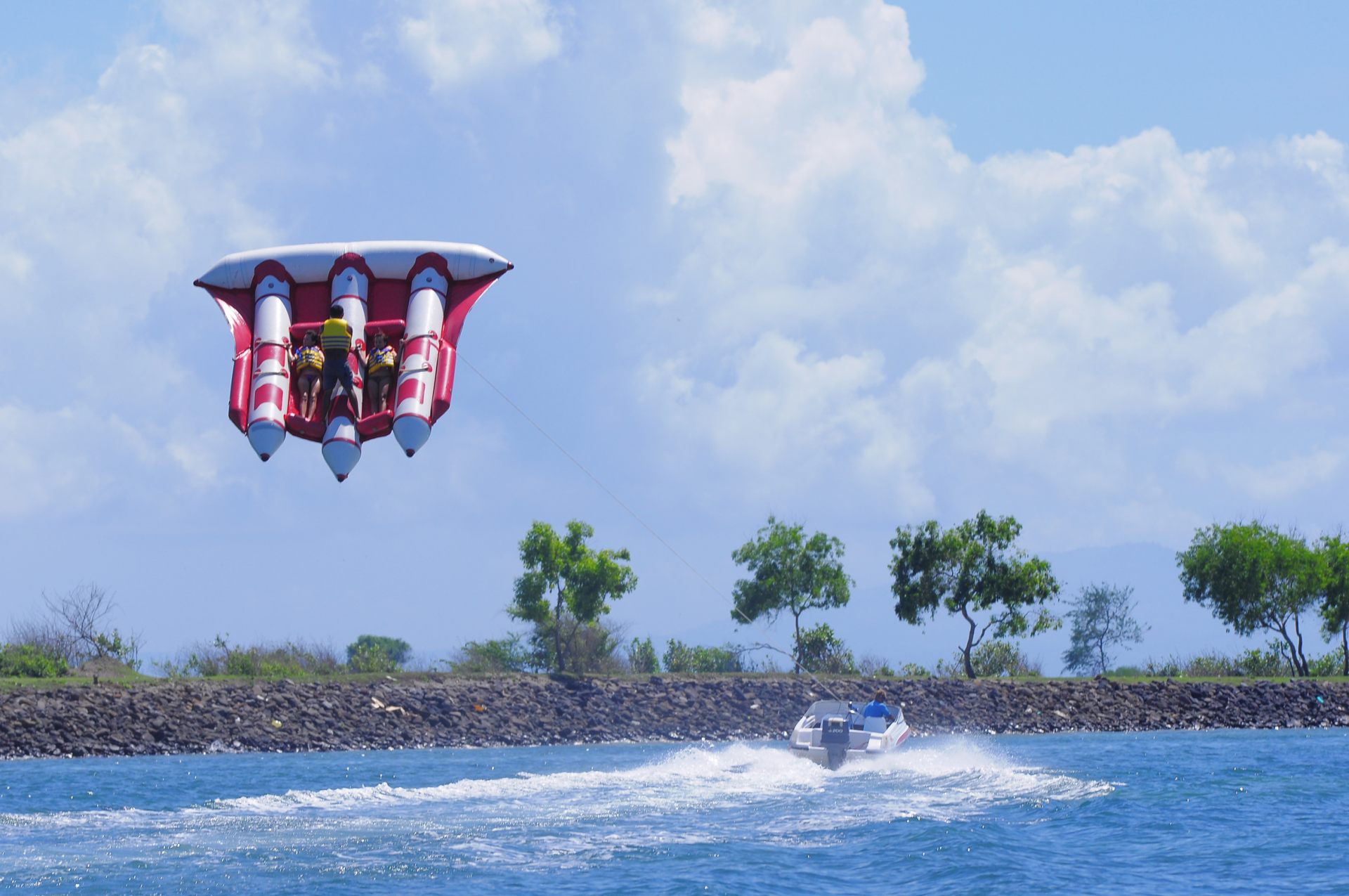 空と海の間を豪快にジャンプするフライフィッシュ