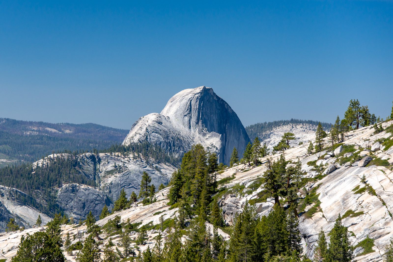 Olmsted Pointから見たHalf Dome