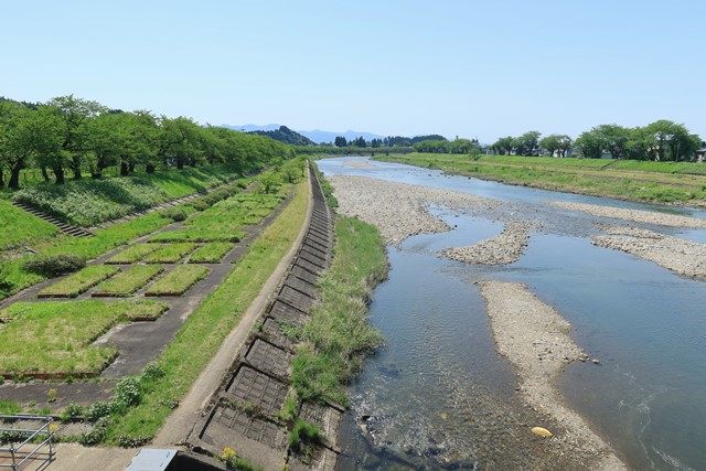 武家屋敷通り近くの古城橋より望む桧木内川の流れと桜並木です。