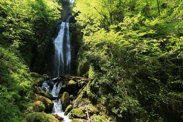 遊歩道の末端近くにある[回顧の滝](https://www.city.semboku.akita.jp/sightseeing/spot/05_kaiko.html)です。
観瀑台が設けられているので、簡単に楽しむことが可能です。
飯村少年弔魂碑に手を合わせた後、同じ道を戻りました。