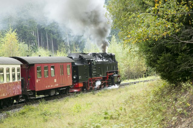 ドイツで蒸気機関車に乗車！魔女の町からブロッケン山へのおすすめプチトリップ