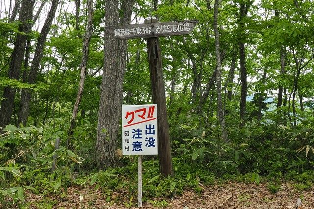 （観音峠・千恵子峠との分岐を右へ）
遊歩道は良く整備されており、動きやすい服装と靴なら十分歩き通すことが可能です。