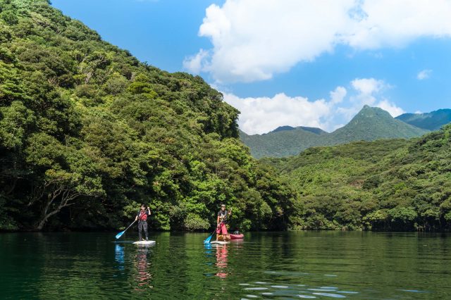 島旅へ行こう 屋久島編！感動の大自然が待つ世界遺産で行くべきおすすめツアー6選