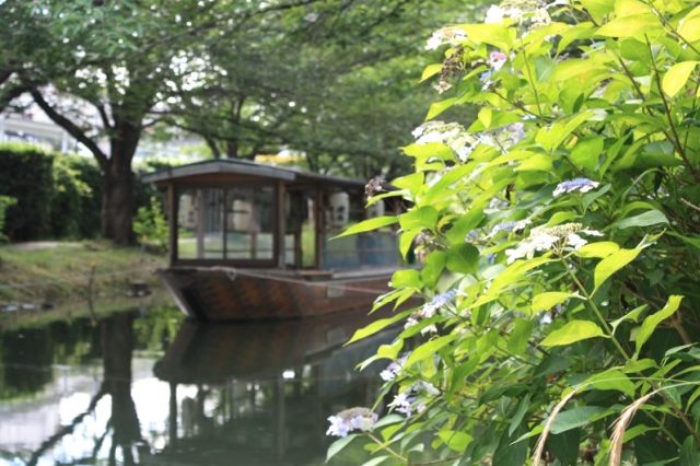 【京都】水無月・伏見「濠川」に咲く紫陽花