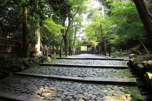 【京都】心ほっこり「法然院」