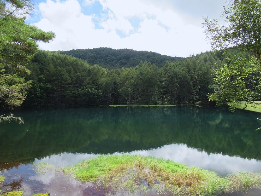 長野県】東山魁夷『緑響く』のモチーフとなった「御射鹿池」へ | 地球の歩き方