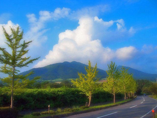 【岡山】～森の芸術祭　晴れの国・岡山～ が始まりました！