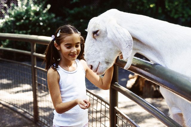 [ニューヨーク] Central Park Zoo