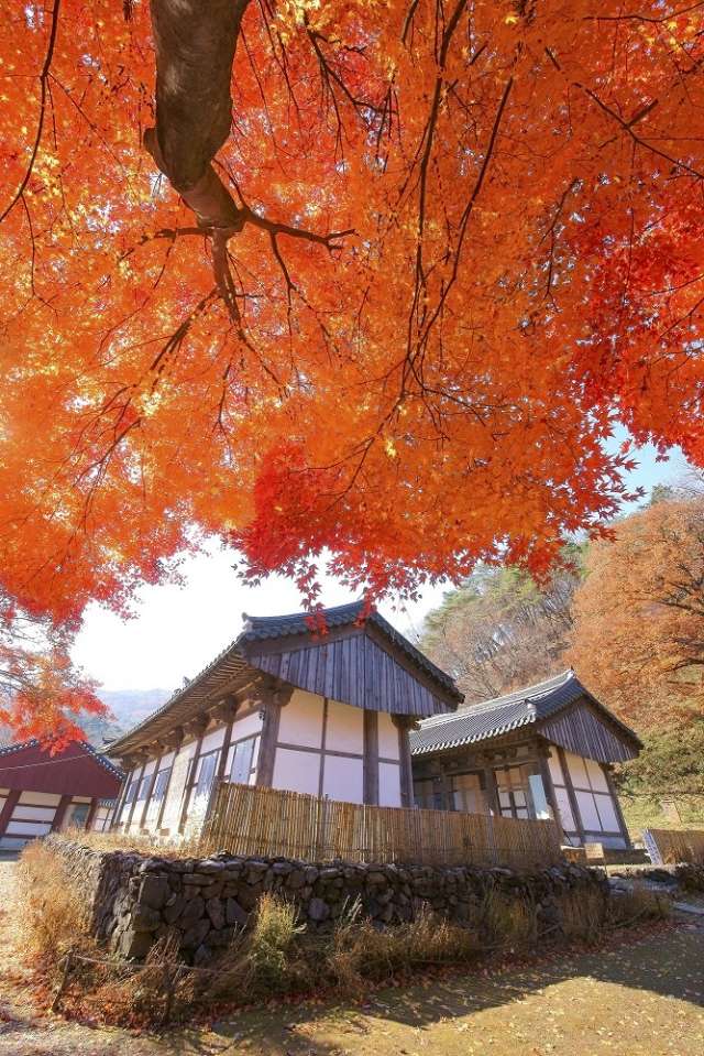 [韓国] 麻谷寺