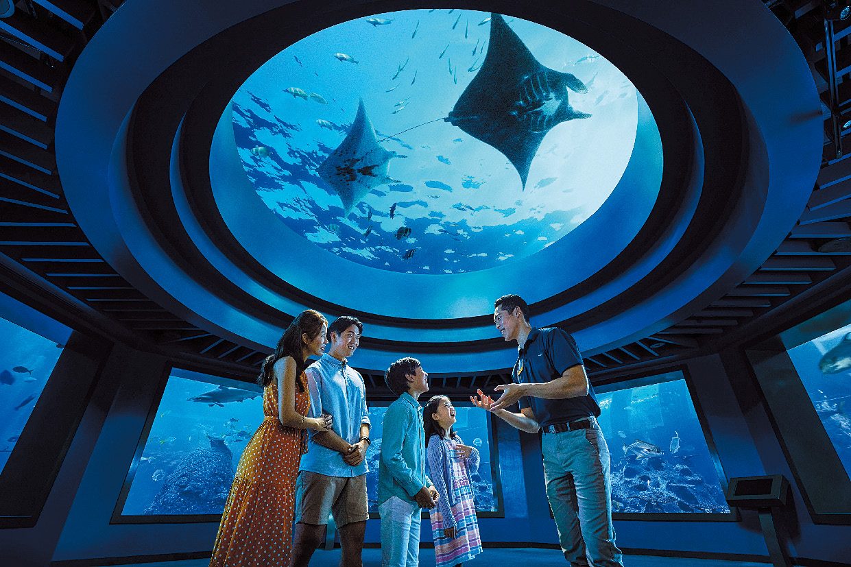 シー・アクアリウム 見どころ、交通 & 周辺情報 地球の歩き方