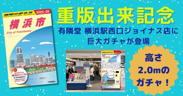 期間限定お値下げ！激レア！早い者勝ち！ 地球の歩き方 チベット