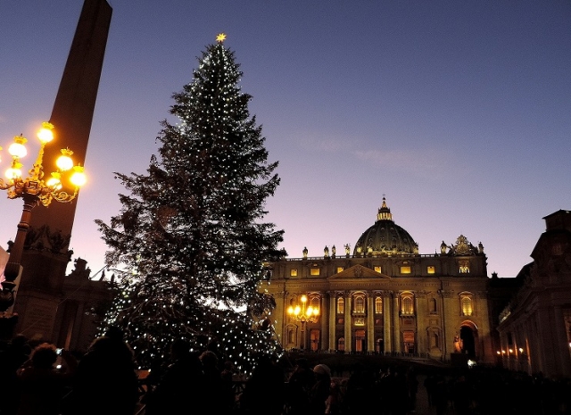 ローマ法王の巨大クリスマスツリー