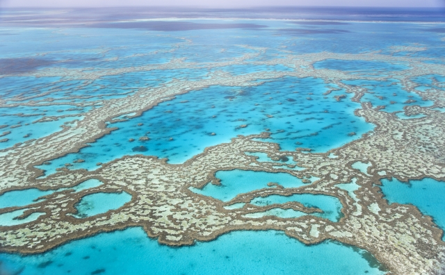 世界最大のサンゴ礁が広がるグレートバリアリーフ