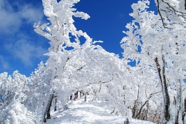 高見山（たかみやま）ルート