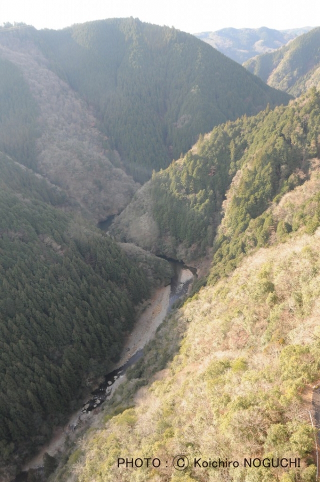 歩いて渡るとスリル満点の新旅足橋