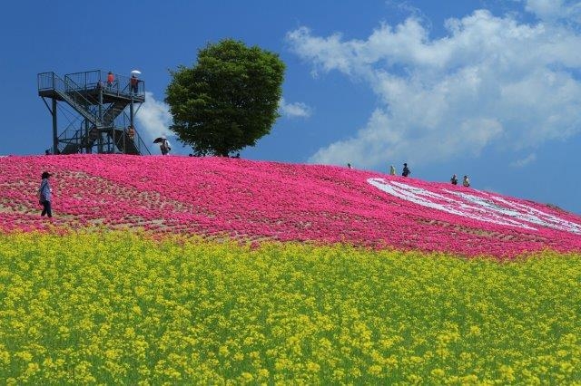 花夢の里ロクタン