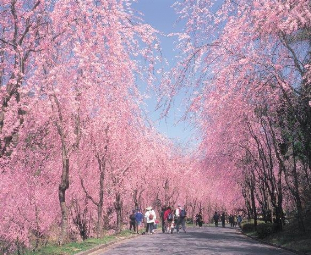 甲山ふれあいの里