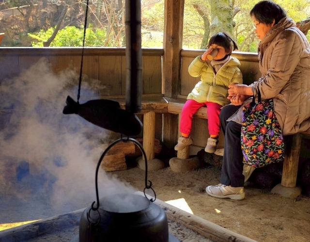 「三溪園」の観梅会関連の催し