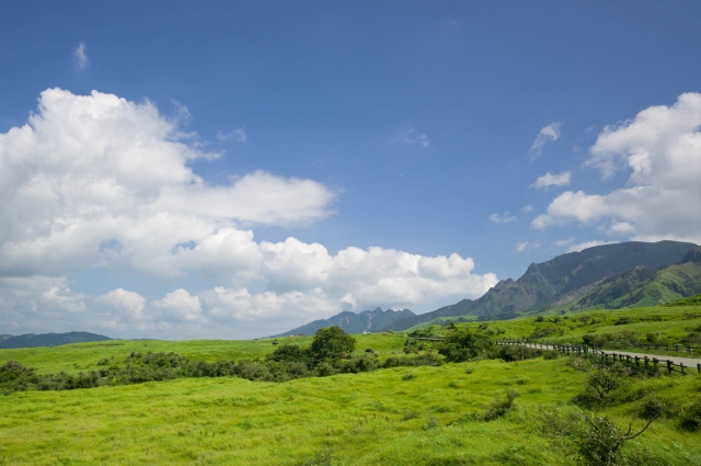 緑の絨毯が広がる牧草地帯 ©iStock