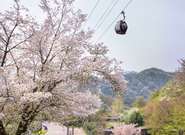 「神戸布引ハーブ園」へのアクセス方法