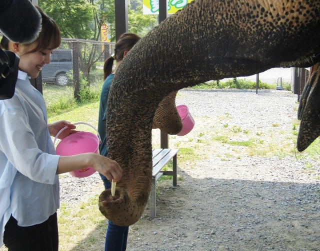 動物と触れ合える岩手サファリパークとは！？