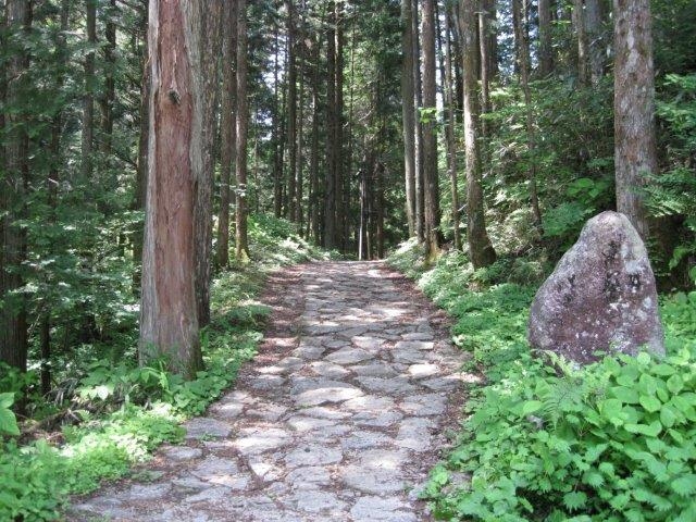 歴史の道を歩こう【中山道・与川道】