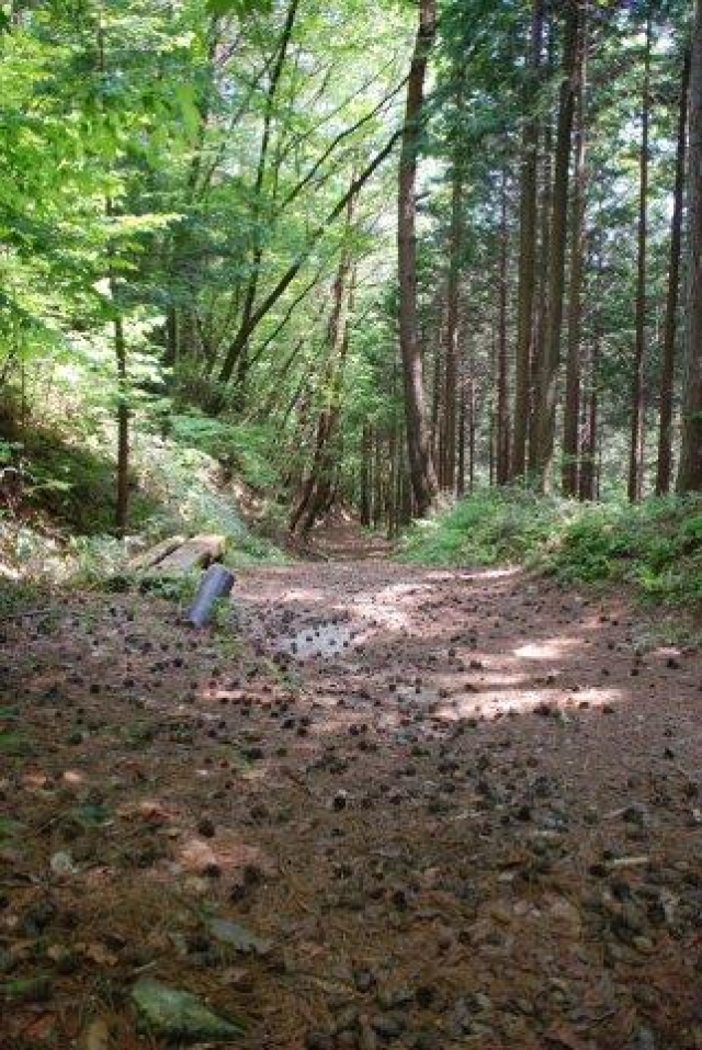 静寂に包まれた与川道