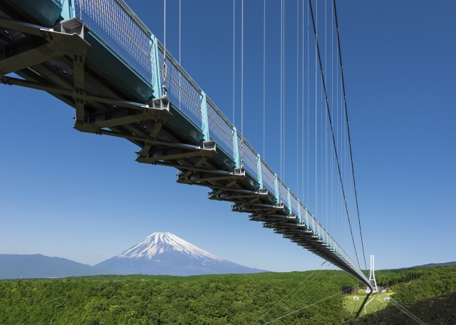 さらに足を伸ばして、富士山の絶景スポットへ！