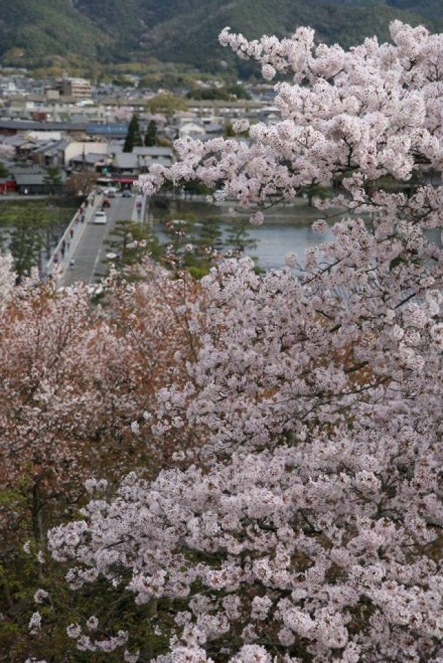 十三参りの法輪寺