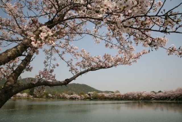 平安時代を思う大沢の池