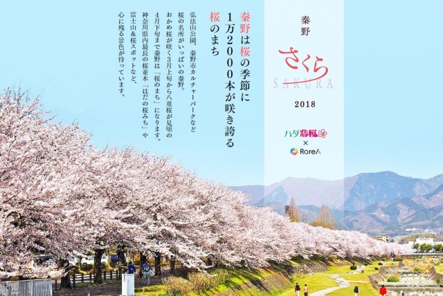 「ハダ恋桜キャンペーン」とは！？