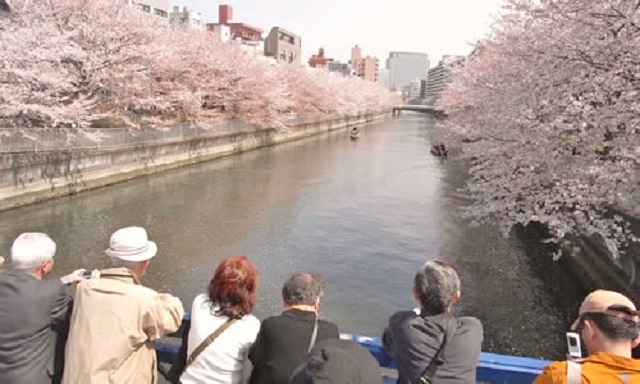 石島橋の上から見渡す東側の景色