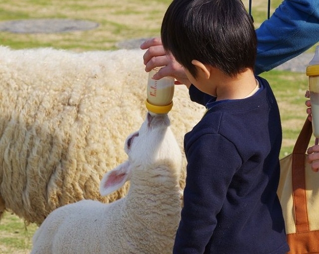 「第1回 春の牧場祭」の楽しみ方