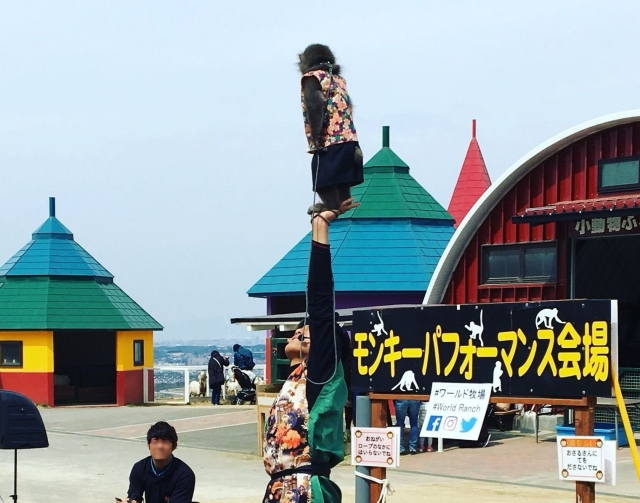 会場（大阪ワールド牧場）へのアクセス方法