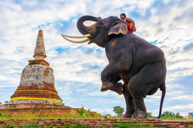 おすすめの世界遺産5選<東南アジア編> ©iStock