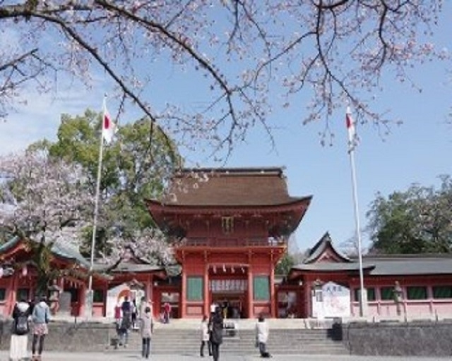 お花見スポット（1）富士山本宮浅間大社の桜