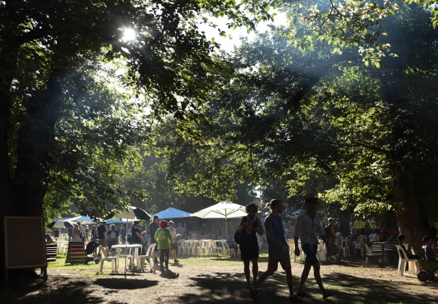 ステージを離れると緑の多い公園