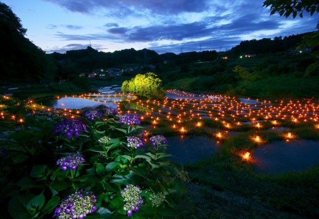 茶草場がある棚田の風景