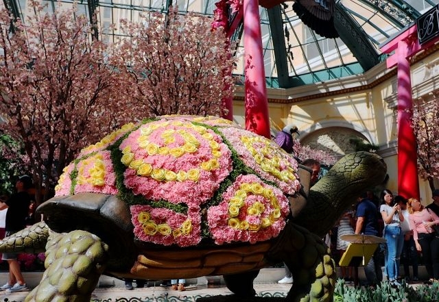 カメの甲羅にはは900個のバラとカーネーションの花